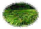 0_11d34_2094ce57_XL.jpeg