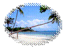 bali01ymy.jpg