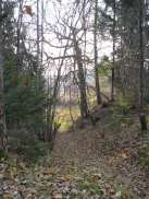 SAM_1701-2.jpg