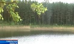 �� ����: ���