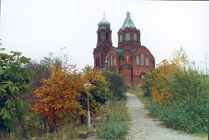 Дедовичи