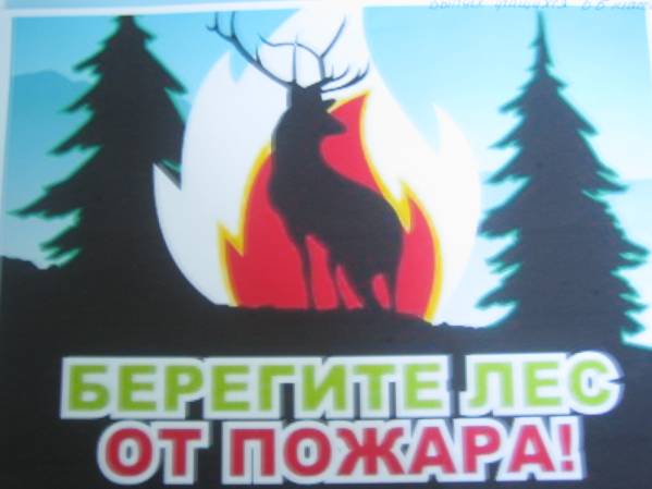 ��������: C:\Users\��\Desktop\�������\������ 047.JPG