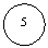 ����: 5