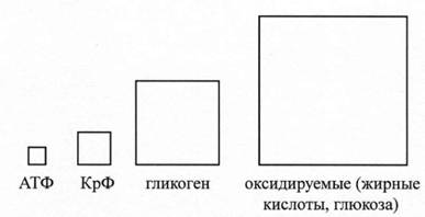 C:\DOCUME~1\admin\LOCALS~1\Temp\FineReader10\media\image14.jpeg