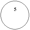 ����: 5
