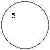 ����: 5