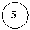 ����: 5