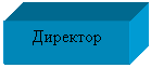 Подпись: Директор