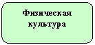 Скругленный прямоугольник: Физическая культура