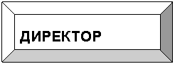 Багетная рамка: ДИРЕКТОР