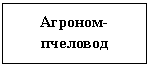 ����-�����: �������: �������-��������