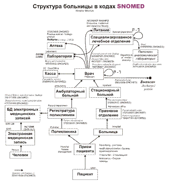 Hospital Structure SNOMED.gif