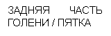 �������: