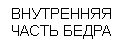 �������: