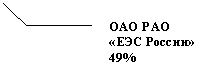 Выноска 3 (без границы): «ЕЭС России» 49%