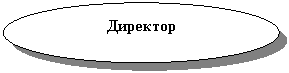 ����: ��������