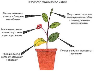 ��������: http://u.jimdo.com/www15/o/s654dda41c71d4c3b/img/i4ef19c16a99e18a0//std/image.jpg