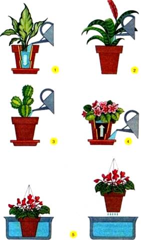 ��������: