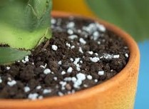 ��������: