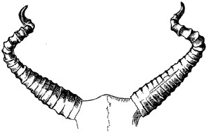 ���. 2