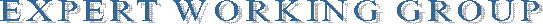 EXPERT WORKING GROUP