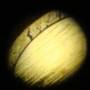 DSC00763.JPG