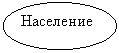 ����: ���������