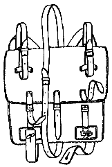 ranetz1.gif