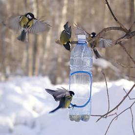 http://*****/images/feeder/17.jpg