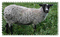 http://im7-tub.yandex.net/i?id=6&tov=7