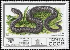 &Ocy;&bcy;&ycy;&kcy;&ncy;&ocy;&vcy;&iecy;&ncy;&ncy;&acy;&yacy; &gcy;&acy;&dcy;&yucy;&kcy;&acy;