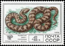 &Gcy;&yucy;&rcy;&zcy;&acy;