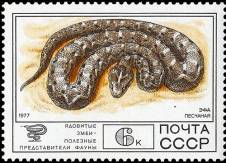 &Pcy;&iecy;&scy;&chcy;&acy;&ncy;&acy;&yacy; &ecy;&fcy;&acy;