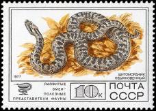 &Ocy;&bcy;&ycy;&kcy;&ncy;&ocy;&vcy;&iecy;&ncy;&ncy;&ycy;&jcy; &shchcy;&icy;&tcy;&ocy;&mcy;&ocy;&rcy;&dcy;&ncy;&icy;&kcy;