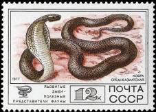 &Scy;&rcy;&iecy;&dcy;&ncy;&iecy;&acy;&zcy;&icy;&acy;&tcy;&scy;&kcy;&acy;&yacy;