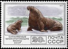 &Mcy;&ocy;&rcy;&zhcy;