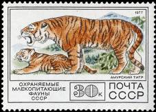 &Pcy;&rcy;&icy;&rcy;&ocy;&dcy;&acy; &icy; &ecy;&kcy;&ocy;&lcy;&ocy;&gcy;&icy;&yacy; - &Acy;&mcy;&ucy;&rcy;&scy;&kcy;&icy;&jcy; &tcy;&icy;&gcy;&rcy;