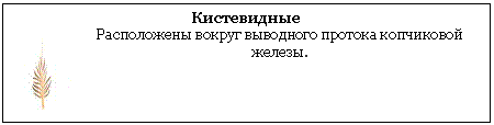���� ������ � ����