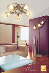 http://www.market.zikkurat.md/resources/Image/materiali/liustra/liustra2.jpg