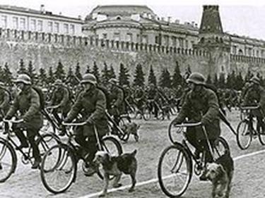 http://upload.wikimedia.org/wikipedia/commons/thumb/f/f0/F_ww2_sov16.jpg/220px-F_ww2_sov16.jpg