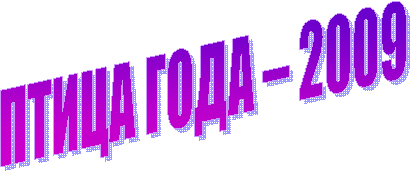 ����� ���� � 2009 

