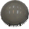 ��������: EGI_1.png