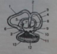 F:\�����\PICT3224.JPG