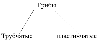 img1.gif (1470 bytes)