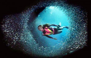 http://*****/images2/dok/1/diving.jpg