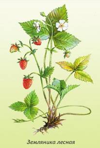 http://*****/public/img/strawberries.jpg
