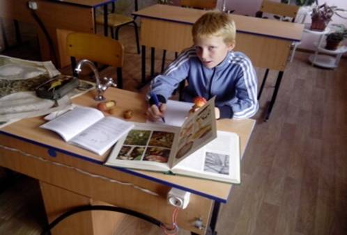 F:\фото к исследовательской работе\.jpg