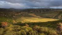 Gondwana Banner Image 05