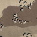 http://*****/pic/camo/3.jpg