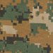 http://*****/pic/camo/4.jpg
